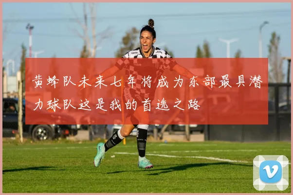 黄蜂队未来七年将成为东部最具潜力球队这是我的首选之路